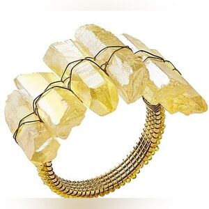 NWT KIM SEYBERT YELLOW RADIANT NAPKIN RINGS SET OF 2 NEW